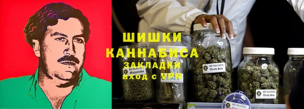 тгк Дмитриев