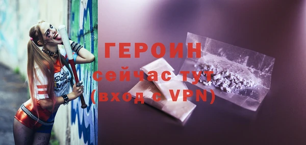 тгк Дмитриев