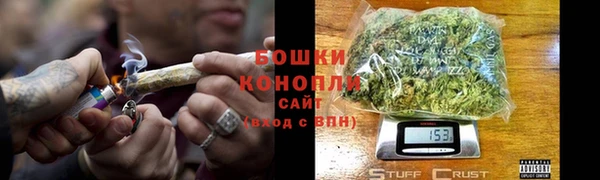 тгк Дмитриев