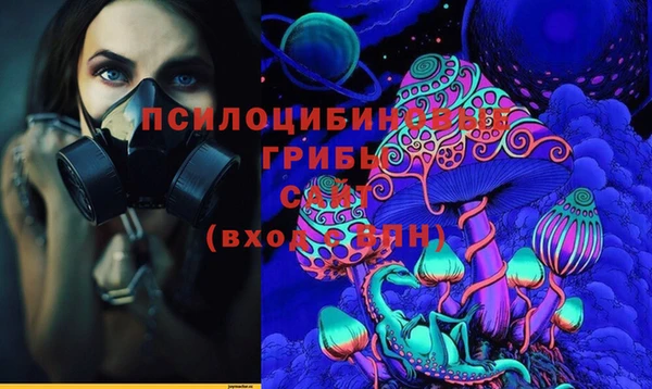 крисы Дмитровск