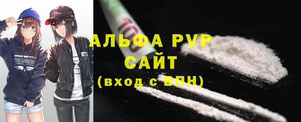 крисы Дмитров