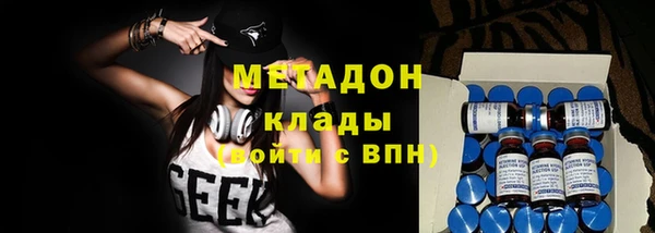 тгк Дмитриев