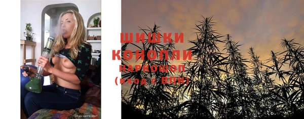 крисы Дмитров