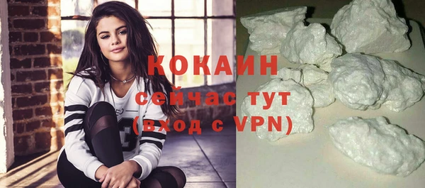 тгк Дмитриев