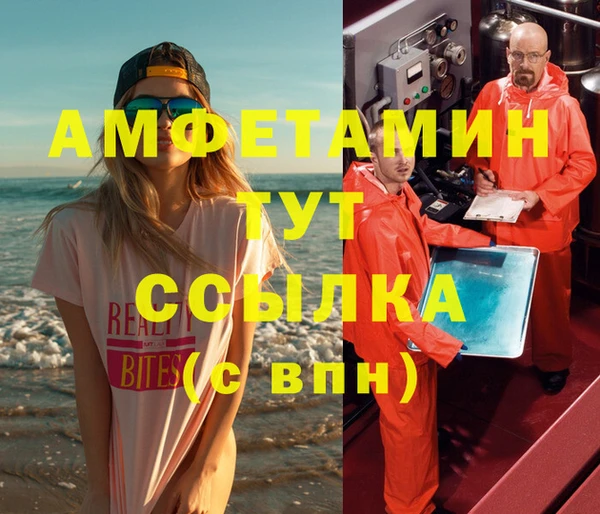 тгк Дмитриев