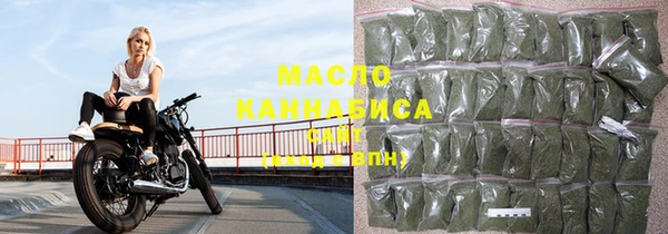 тгк Дмитриев