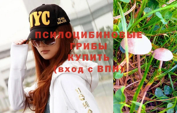 крисы Дмитровск