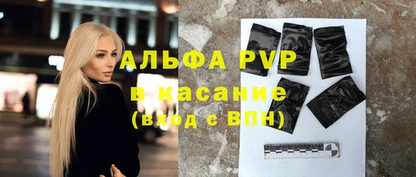 крисы Дмитров