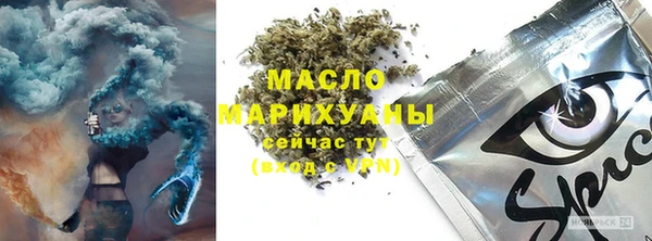 тгк Дмитриев