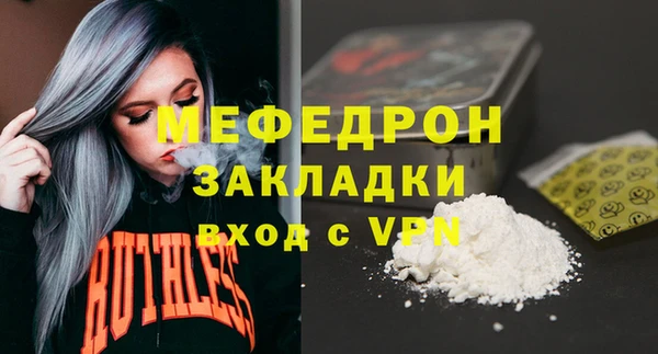 тгк Дмитриев