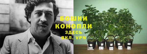 тгк Дмитриев