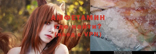 крисы Дмитров