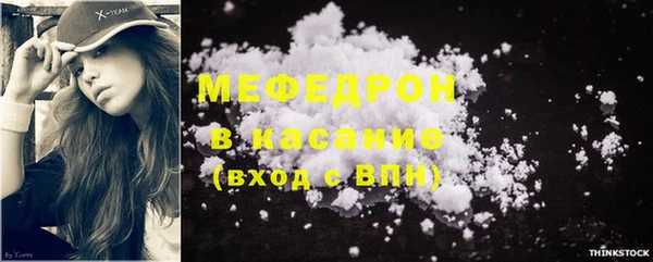 тгк Дмитриев