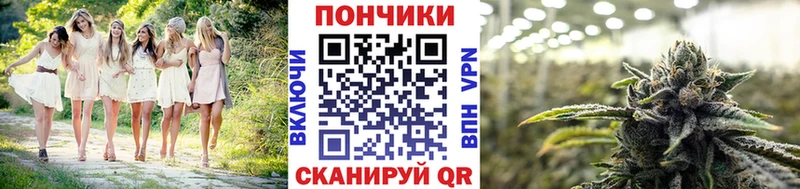 Канабис план  Купить закладки  Щигры 